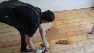 Gap filling wooden pine floor with filler and sawdust mix [upl. by Ahsiyk]