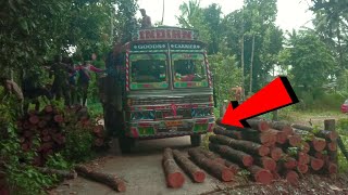 Ashok lyeland lorry straggle to turn  timberwood shorts timber truck struggle [upl. by Tali921]