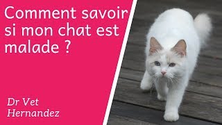 Comment savoir si mon chat est malade [upl. by Ethan]