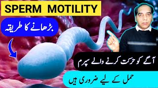 How To Increase Sperm Motility Sperm Motility Increase Food Sperm Ki Motility Kaise Badhaye [upl. by Eerac]