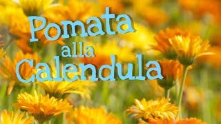 POMATA ALLA CALENDULA FATTA IN CASA DA BENEDETTA [upl. by Engamrahc165]