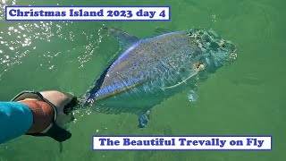 Christmas Island Kiribati Fly Fishing Day 4  Bluefin and Giant Trevally skorflyfishing [upl. by Annavoj]