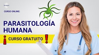 🔴 CURSO PARASITOLOGÍA HUMANA ǀ COMPLETO Y GRATIS 2024 ✅ PARTE 2 [upl. by Bekki610]