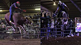 Torneo De Toros De Reparo En La Union Americana 2023 [upl. by Leigha]