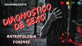 ANTROPOLOGIA FORENSE  DIAGNOSTICO DE SEXO [upl. by Sillad]