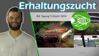 Erhaltungszucht in der Aquaristik  Inzucht Diversität Genetik 🐟 Vortrag IGLTagung Frühjahr 2024 [upl. by Clarey81]