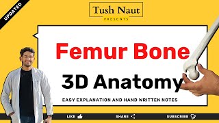 Femur Bone  Complete Anatomy  Easy handwritten notes [upl. by Yevol]