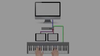 iConnectMIDI4 Setup for MIDI Kinetics Products [upl. by Forlini]