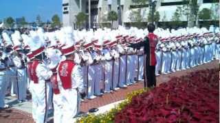 University of South Carolina Gamecock Marching Band [upl. by Schug896]