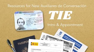 Guide to the TIE  What is Tarjeta de Identidad de Extranjero amp Getting an Appointment [upl. by Nayrda682]