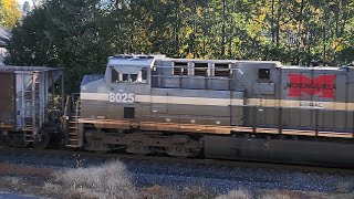 Monongahela NS Heritage 8025 on the Monongahela Line [upl. by Herm116]