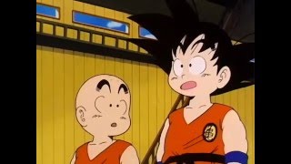 Goku and Chiaotzu showing off their logic skills [upl. by Tatia]