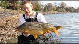 Carp fishing on my lunch break  crucian carp and common carp [upl. by Handal]