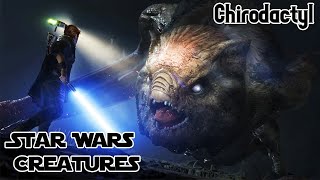 Chirodactyl  Star Wars Creatures [upl. by Hanima]