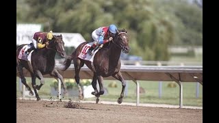 1996 Arlington Citation Challenge  Cigar  CBS Broadcast [upl. by Eylsel]