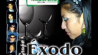 GRUPO EXODO AYAVIRI MIX PANDILLEROS [upl. by Weinshienk]