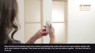 Motorised Roller Blind  Reset Procedure [upl. by Kreiner]