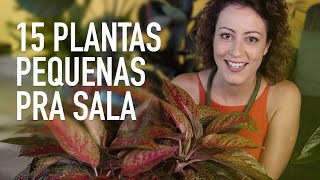 15 PLANTAS pra SALA de CASA pra quem tem POUCO ESPAÇO [upl. by Quinn406]