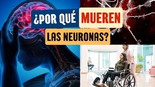 ¿Por qué mueren las neuronas [upl. by Orme]