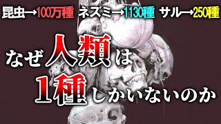 【普通は複数種いる】ヒト科ヒト属の生物が1種しかいない理由【ゆっくり解説】【雑学】 [upl. by Arluene170]