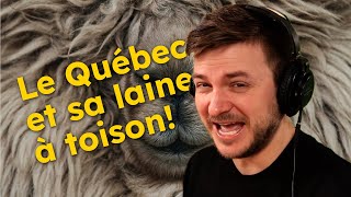 Où trouver la bonne laine québécoise [upl. by Robi174]