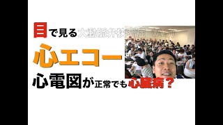 心電図が正常でも心臓の病気？心エコー、大動脈弁狭窄症 米山喜平（Yoneyama Kihei [upl. by Sitof955]