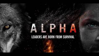 ALPHA MOTION POSTER  AFTER EFFECTS [upl. by Hgielram632]