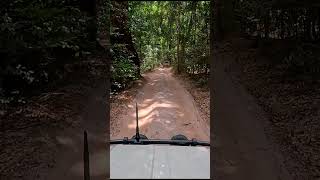 EXPEDITION VEHICLE through Rainforest Adventure Troopy Expedition Australia Jungle explore [upl. by Teodoro]