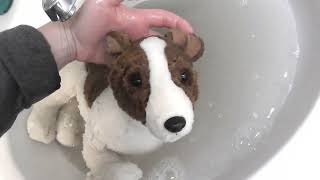 Bath time for Living Nature Jack Russel [upl. by Neal107]