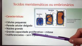 Histologia e Organologia vegetal [upl. by Lyssa]