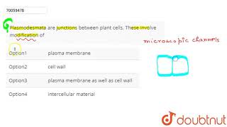 Plasmodesmata are junctions between plant cells These involve modification of [upl. by Dyane]