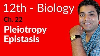 FSc Biology Book 2 Pleiotropy Epistasis  Ch 22 Variation and Genetics  12th Class Biology [upl. by Ebony401]