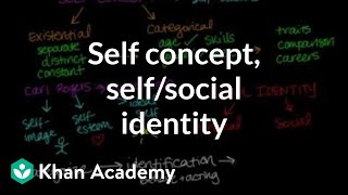 Self concept self identity and social identity  Individuals and Society  MCAT  Khan Academy [upl. by Grieve723]