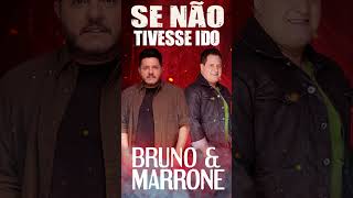 Bruno e Marrone  Se Não Tivesse Ido  As melhores músicas shorts [upl. by Annahvas922]