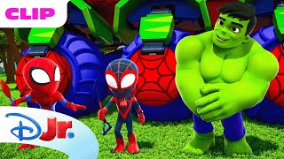 Marvels Spidey and his Amazing Friends  Hulk Becomes a Squirrel  disneyjr [upl. by Lihas]