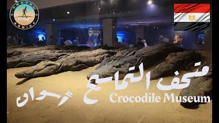 متحف التماسيح Crocodile Museum [upl. by Libbie]