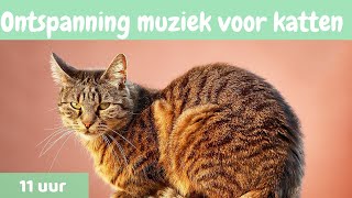 13 Ontspanning muziek voor katten 🐱 ontspannen muziek voor katten en Kittens 🐱11 uren [upl. by Hait]