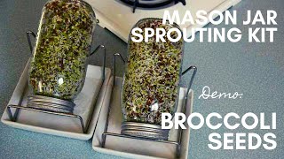 BROCCOLI SEED SPROUTING 101  How to use a mason jar sprouting kit [upl. by Annetta86]