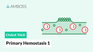 Primary Hemostasis  Part 1 Platelet Adhesion [upl. by Itteb893]