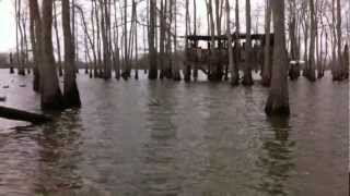 Largest Duck blind part 2 [upl. by Abbie]