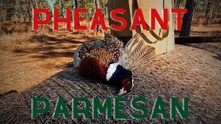 Pheasant Parmesan  Hunt and Cook [upl. by Aneeuqahs]