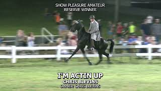 IM ACTIN UP 2024 WARTRACE HORSE SHOW [upl. by Vorfeld]