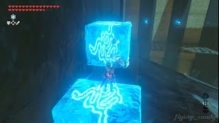 Devs We knew someone would do this in Zelda BotW  Neez Yohma Shrine [upl. by Htinek]