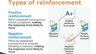 Operant Conditioning Positive and Negative Reinforcement and Punishment [upl. by Gnuh]