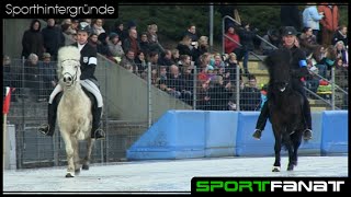 Islandpferde auf dem Eis  IceHorse 2015 [upl. by Elenaj]