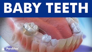 Baby teeth and the use of space maintainers © [upl. by Cai]