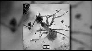 LIL DUSTY G  INSECTS 1 HOUR LOOP [upl. by Eddra]