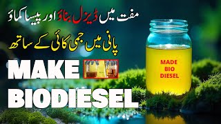 Made Biodiesel  اب ڈیزل خود بناؤ پیسا کماؤ اور اپنی گاڑی چلاؤ  لاکھوں روپے وہ بھی زیرو سے [upl. by Hailed758]