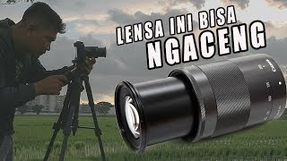 Review Lensa Canon EFM 55200mm f4563 IS STM [upl. by Eiram]