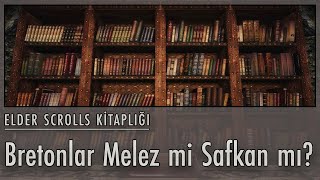 Bretonlar Melez mi Safkan mı  Elder Scrolls Kitaplığı [upl. by Dougald]